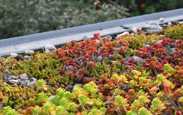 the cost of Greenigoe green roof installation