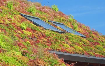 Greenigoe living roof systems