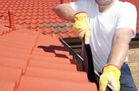 Greenigoe roof cleaners